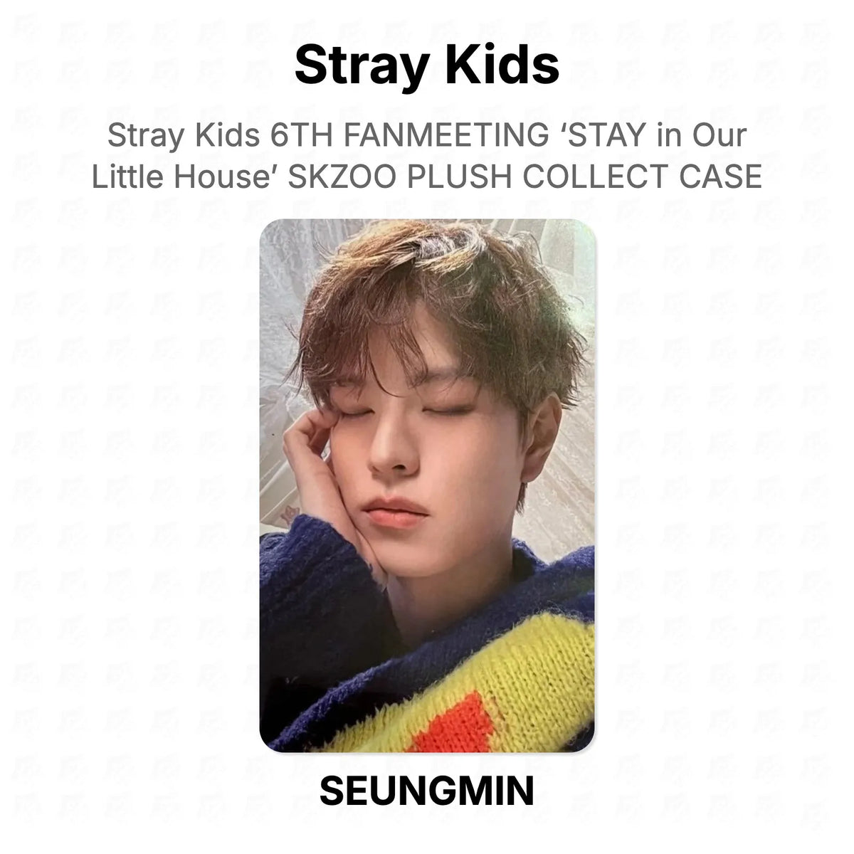 Stray Kids 6TH FANMEETING ‘STAY in Our Little House’ SKZOO PLUSH COLLECT CASE Official Photocard