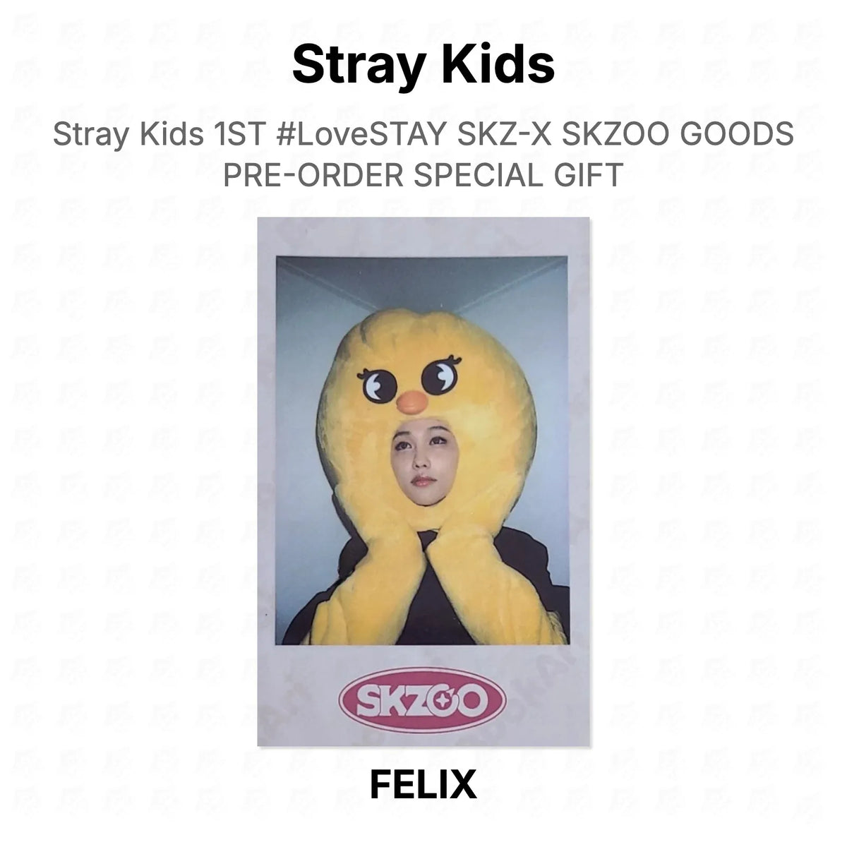 Stray Kids 1ST #LoveSTAY SKZ-X SKZOO GOODS PRE-ORDER SPECIAL GIFT Official Photocard