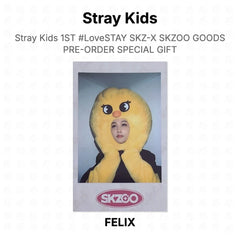 FELIX 02