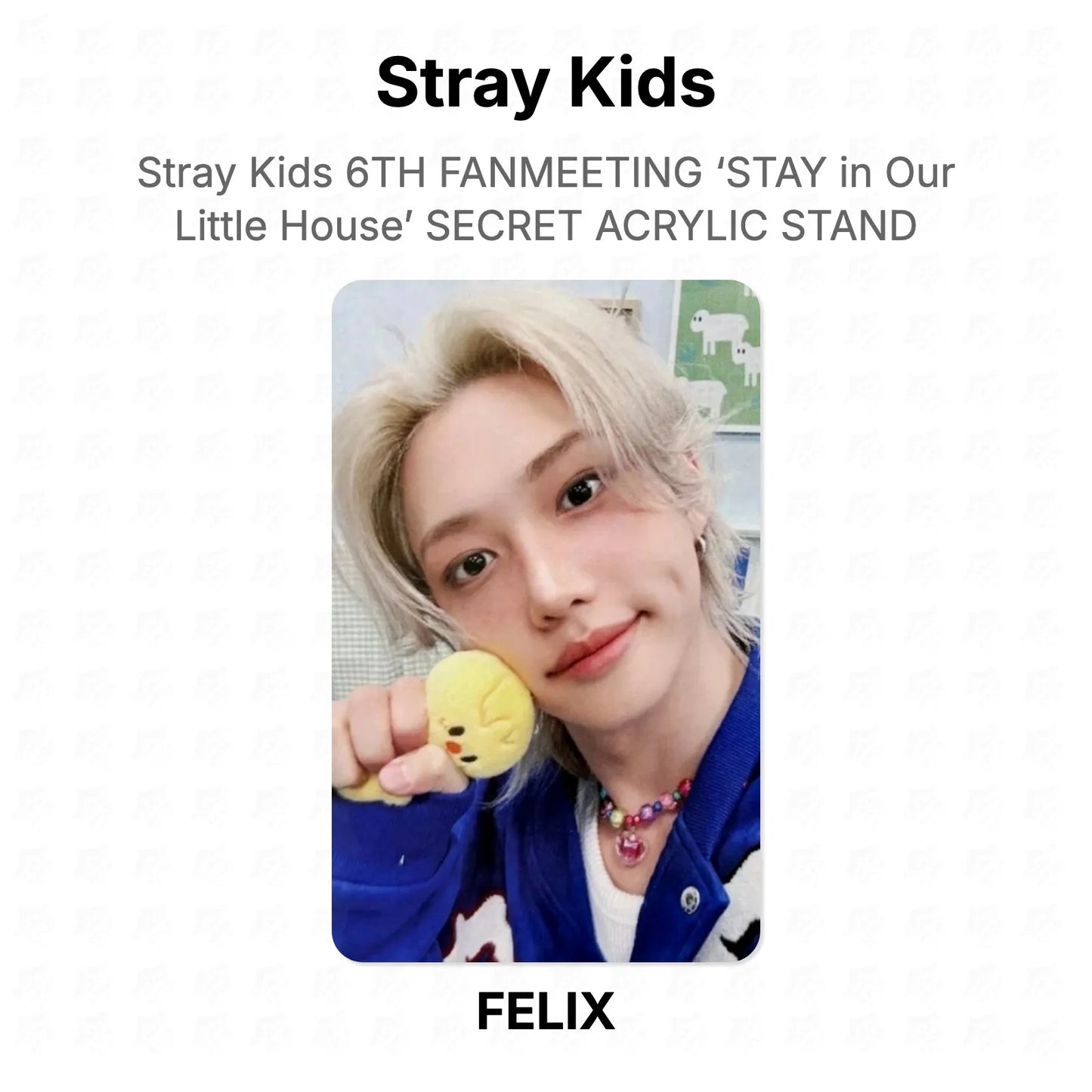 Stray Kids 6TH FANMEETING ‘STAY in Our Little House’ SECRET ACRYLIC STAND Official Photocard