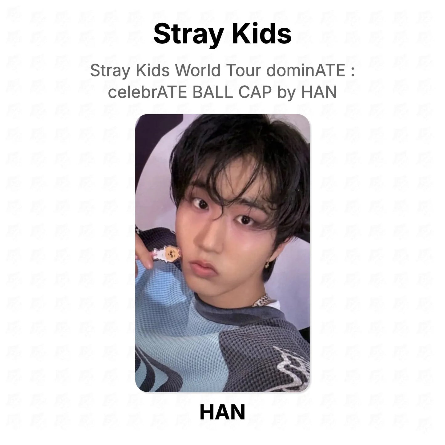 Stray Kids World Tour dominATE : celebrATE BALL CAP by HAN Official Photocard