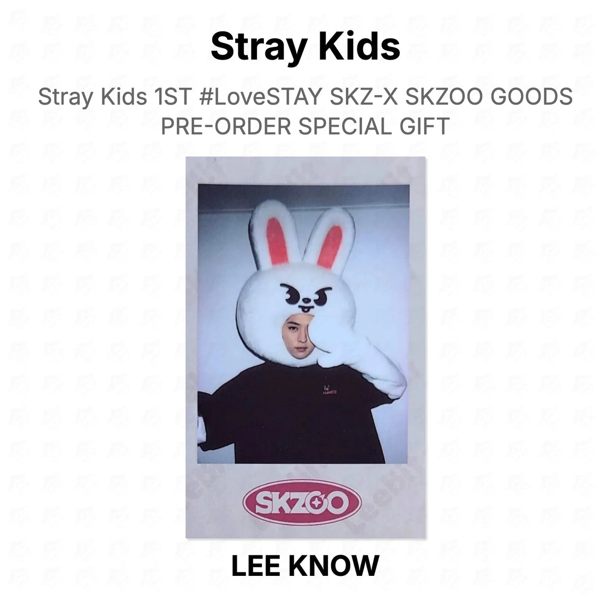 Stray Kids 1ST #LoveSTAY SKZ-X SKZOO GOODS PRE-ORDER SPECIAL GIFT Official Photocard