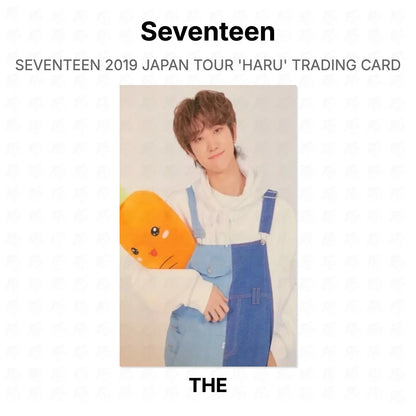 Seventeen 2019 JAPAN TOUR 'HARU' TRADING CARD Official Photocard
