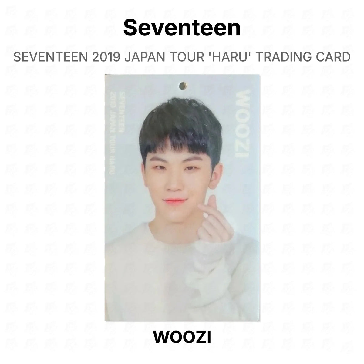 Seventeen 2019 JAPAN TOUR 'HARU' TRADING CARD Official Photocard