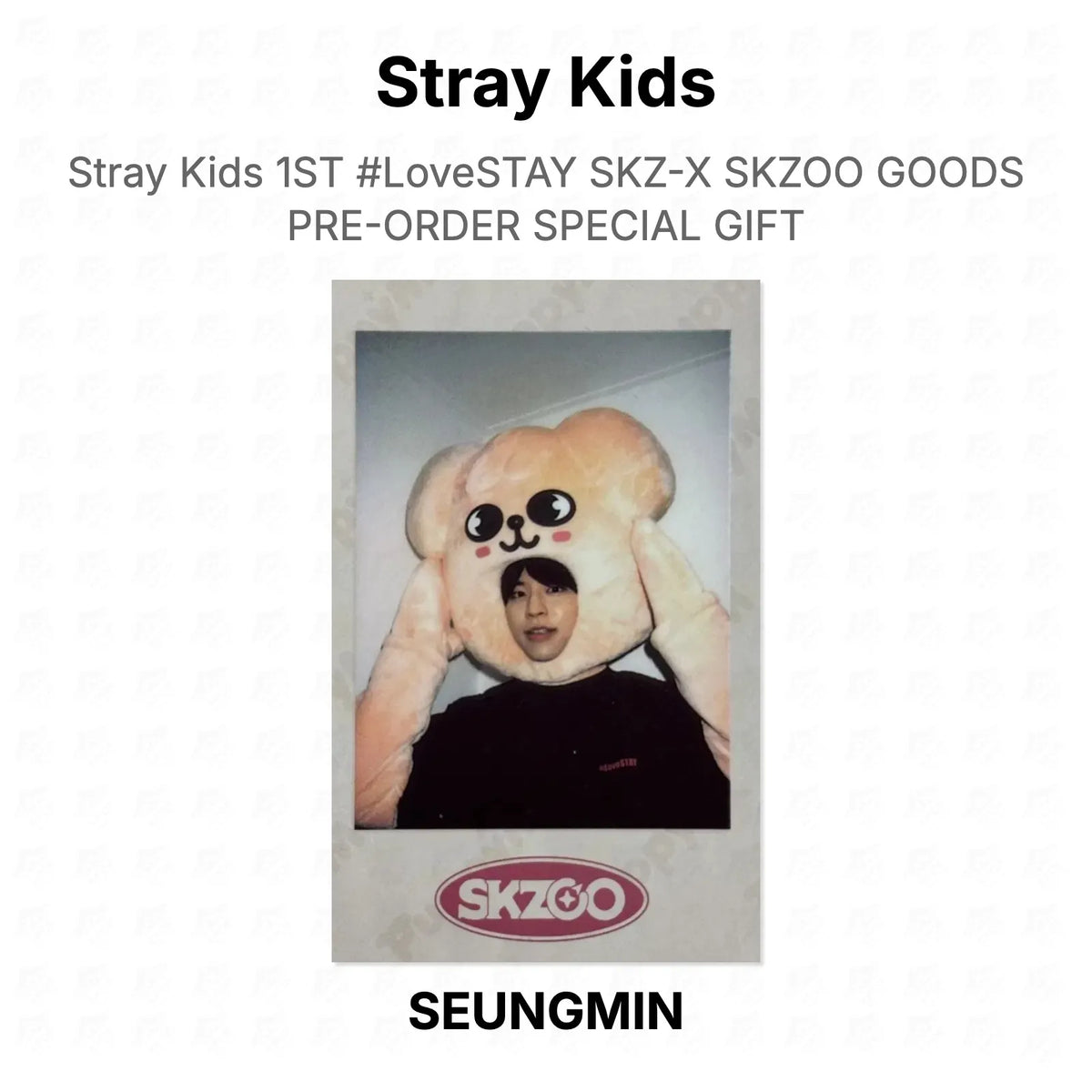 Stray Kids 1ST #LoveSTAY SKZ-X SKZOO GOODS PRE-ORDER SPECIAL GIFT Official Photocard