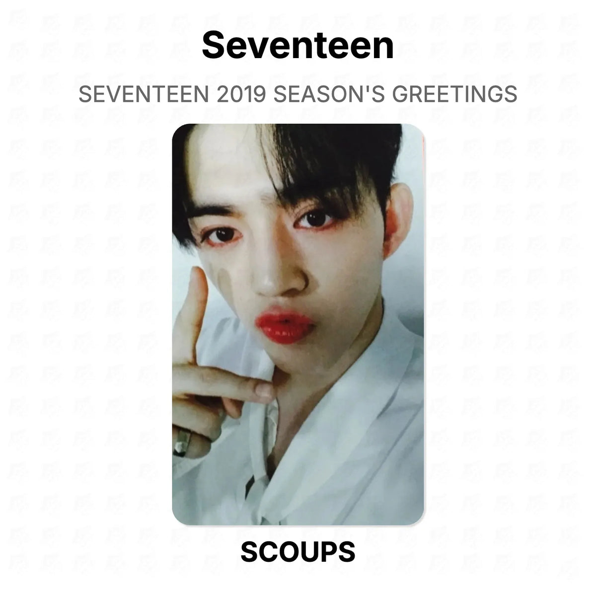 Seventeen 2019 SEASON'S GREETINGS Official Photocard