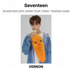 VERNON 02