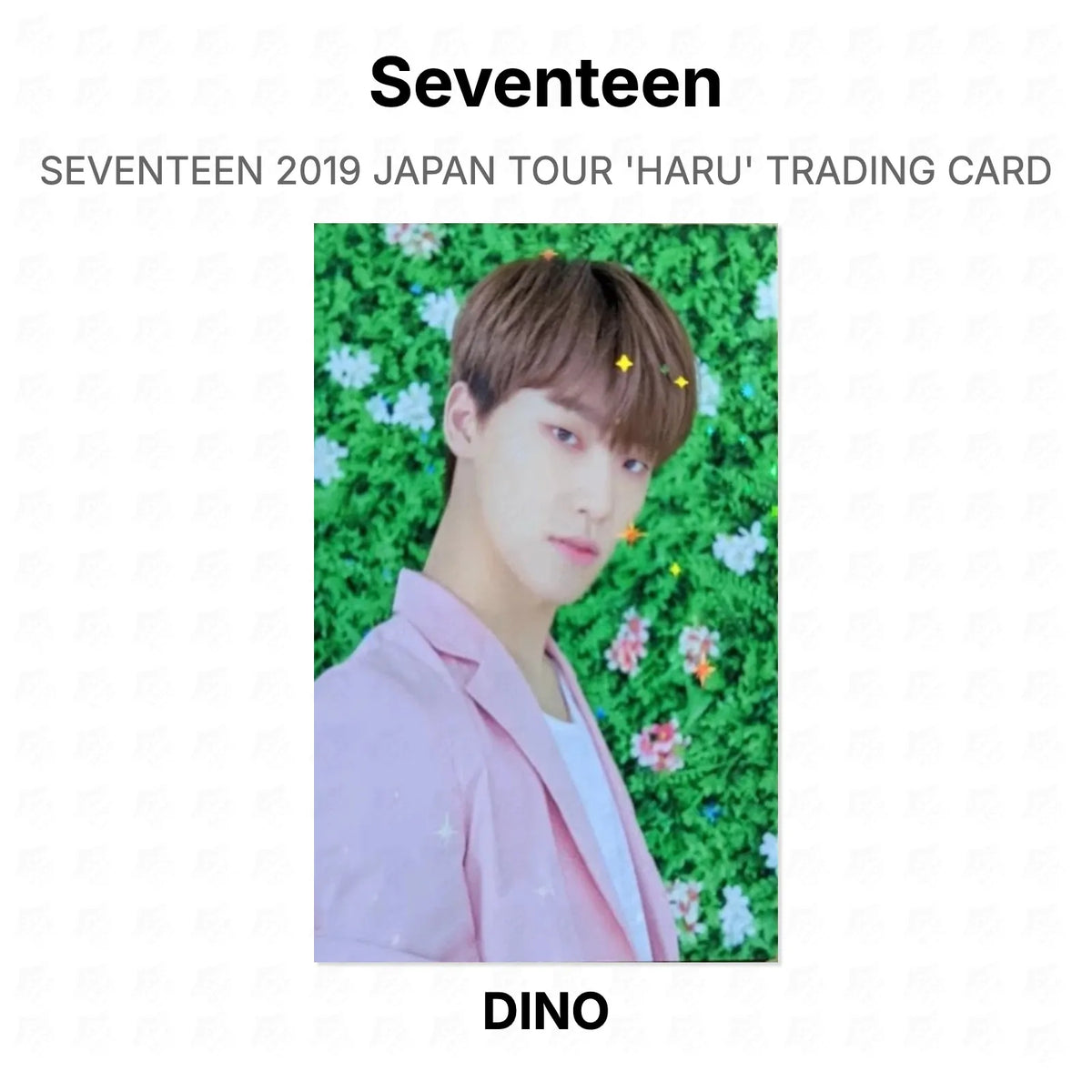 Seventeen 2019 JAPAN TOUR 'HARU' TRADING CARD Official Photocard