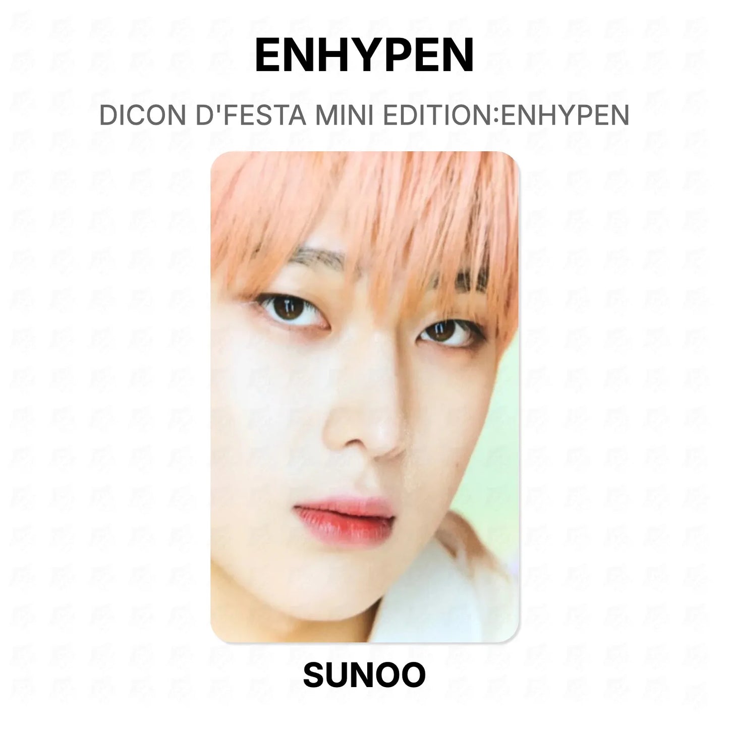 ENHYPEN DICON D'FESTA MINI EDITION:ENHYPEN Official Photocard