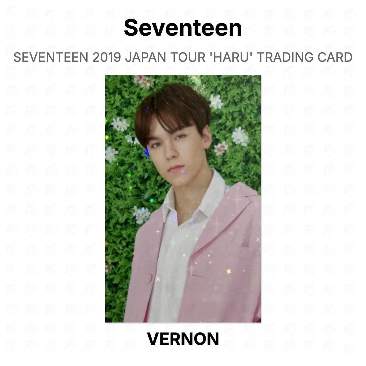 Seventeen 2019 JAPAN TOUR 'HARU' TRADING CARD Official Photocard