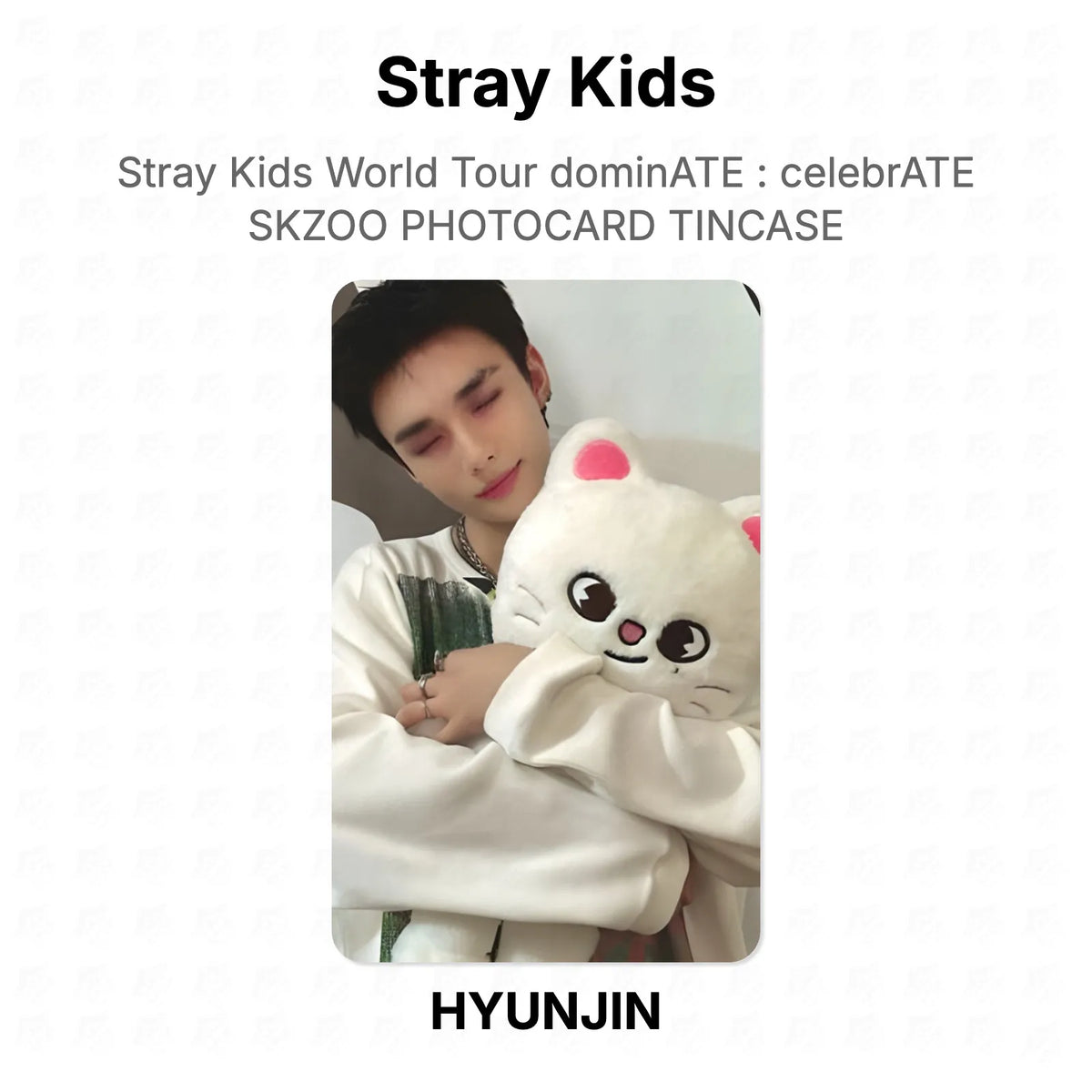 Stray Kids World Tour dominATE : celebrATE SKZOO PHOTOCARD TINCASE Official Photocard