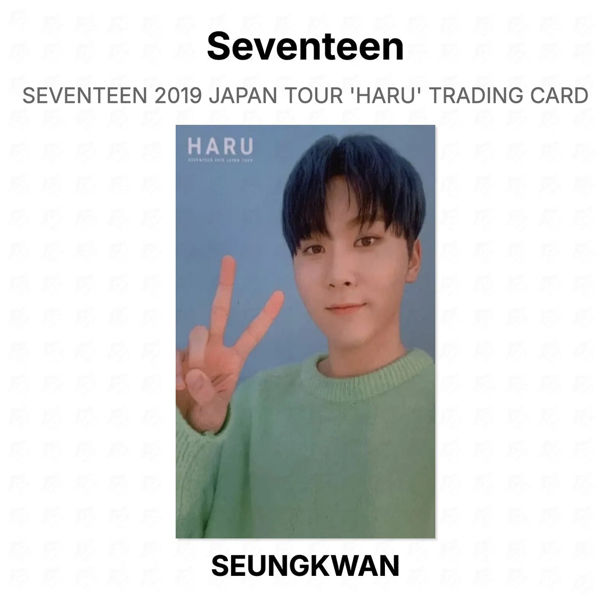 Seventeen 2019 JAPAN TOUR 'HARU' TRADING CARD Official Photocard