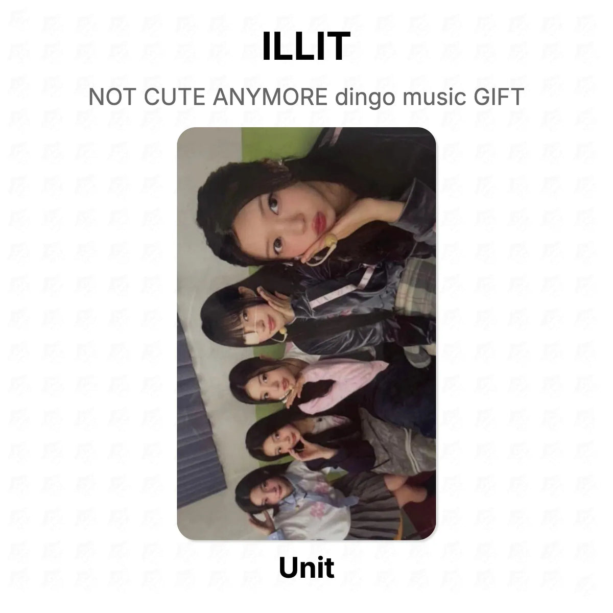 ILLIT NOT CUTE ANYMORE dingo music GIFT Official Photocard