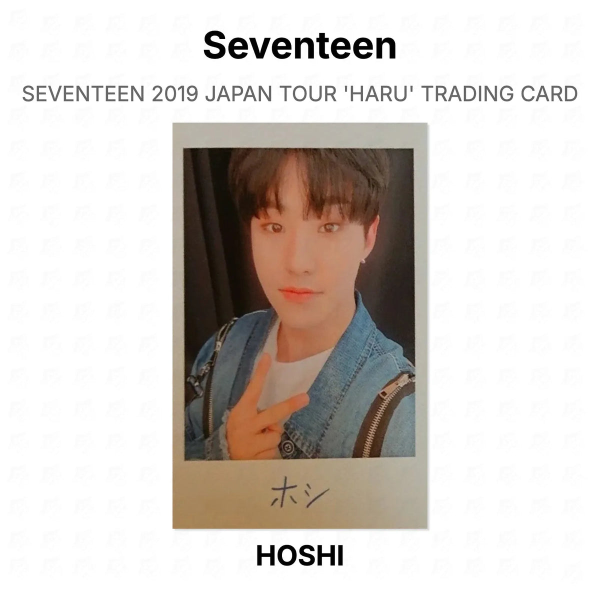 Seventeen 2019 JAPAN TOUR 'HARU' TRADING CARD Official Photocard
