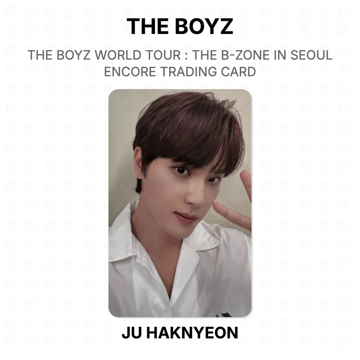 THE BOYZ WORLD TOUR : THE B-ZONE IN SEOUL ENCORE TRADING CARD Official Photocard