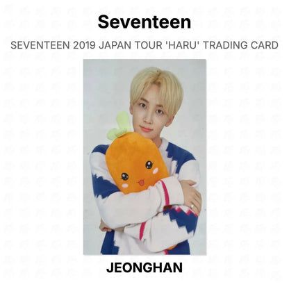 Seventeen 2019 JAPAN TOUR 'HARU' TRADING CARD Official Photocard