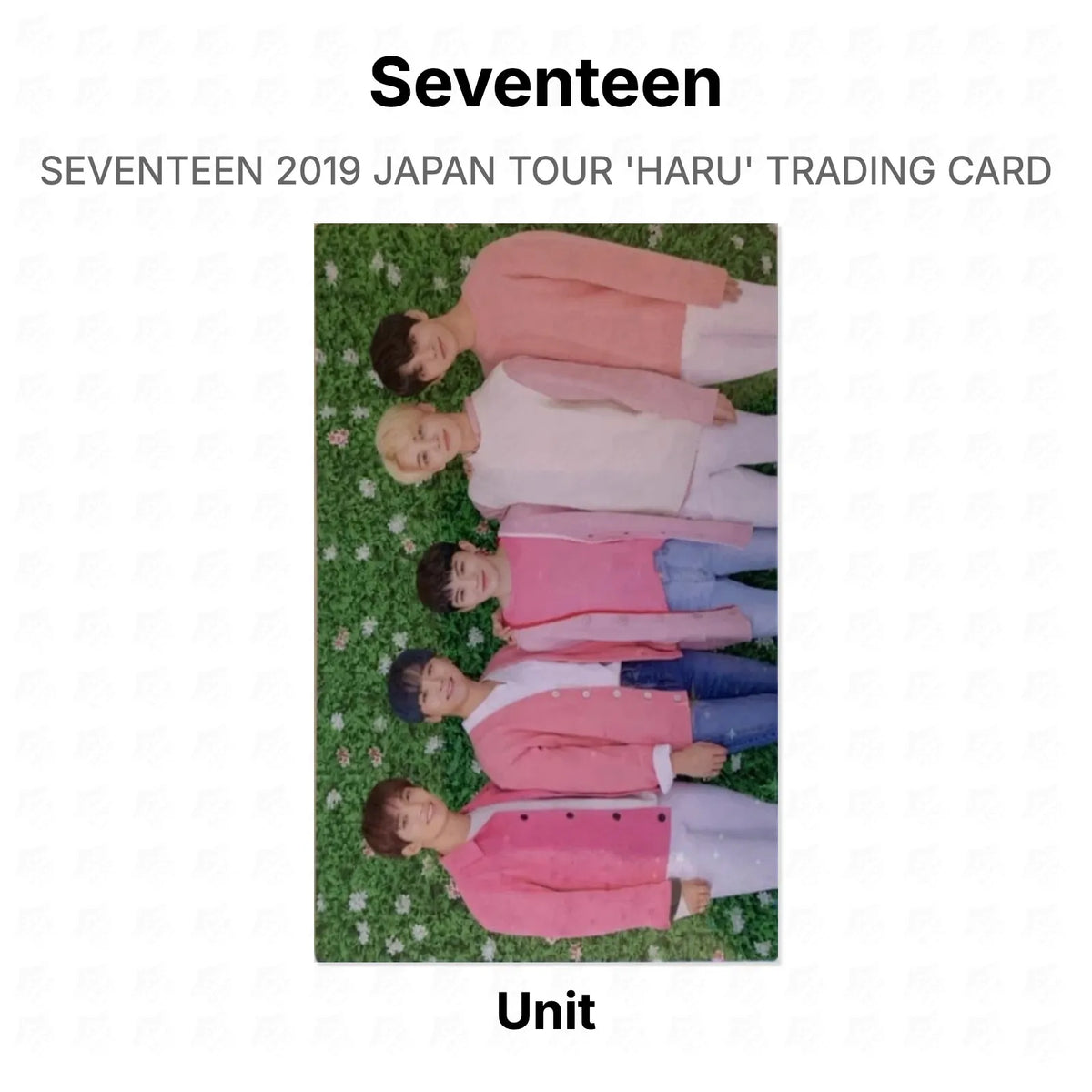 Seventeen 2019 JAPAN TOUR 'HARU' TRADING CARD Official Photocard
