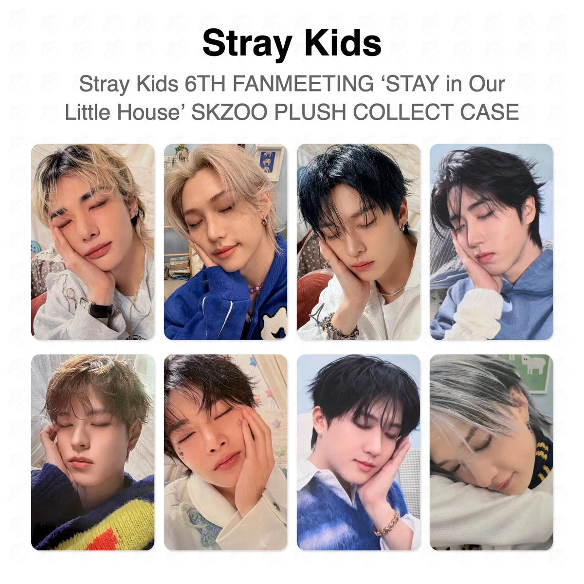Stray Kids 6TH FANMEETING ‘STAY in Our Little House’ SKZOO PLUSH COLLECT CASE Official Photocard
