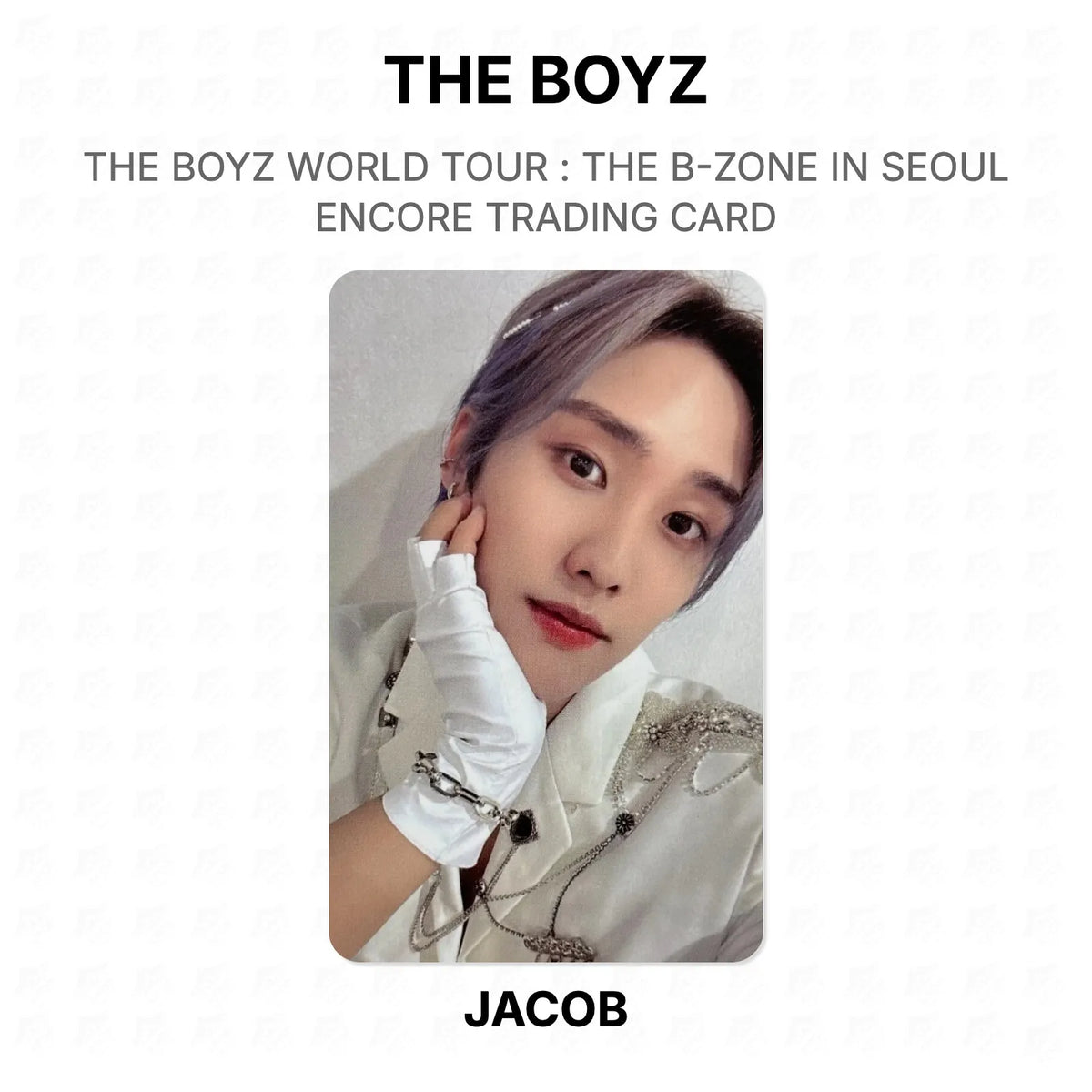 THE BOYZ WORLD TOUR : THE B-ZONE IN SEOUL ENCORE TRADING CARD Official Photocard