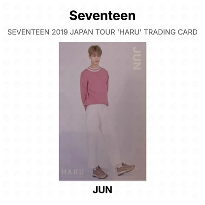 Seventeen 2019 JAPAN TOUR 'HARU' TRADING CARD Official Photocard