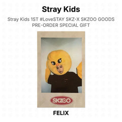 FELIX 05