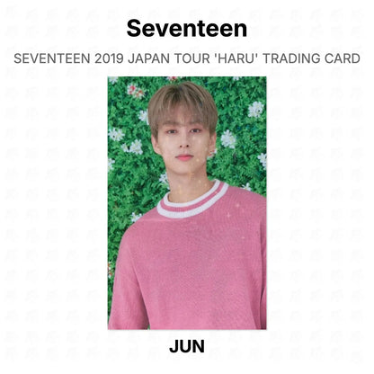 Seventeen 2019 JAPAN TOUR 'HARU' TRADING CARD Official Photocard