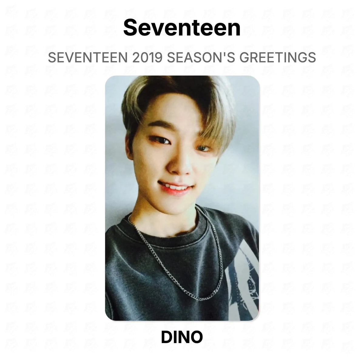 Seventeen 2019 SEASON'S GREETINGS Official Photocard