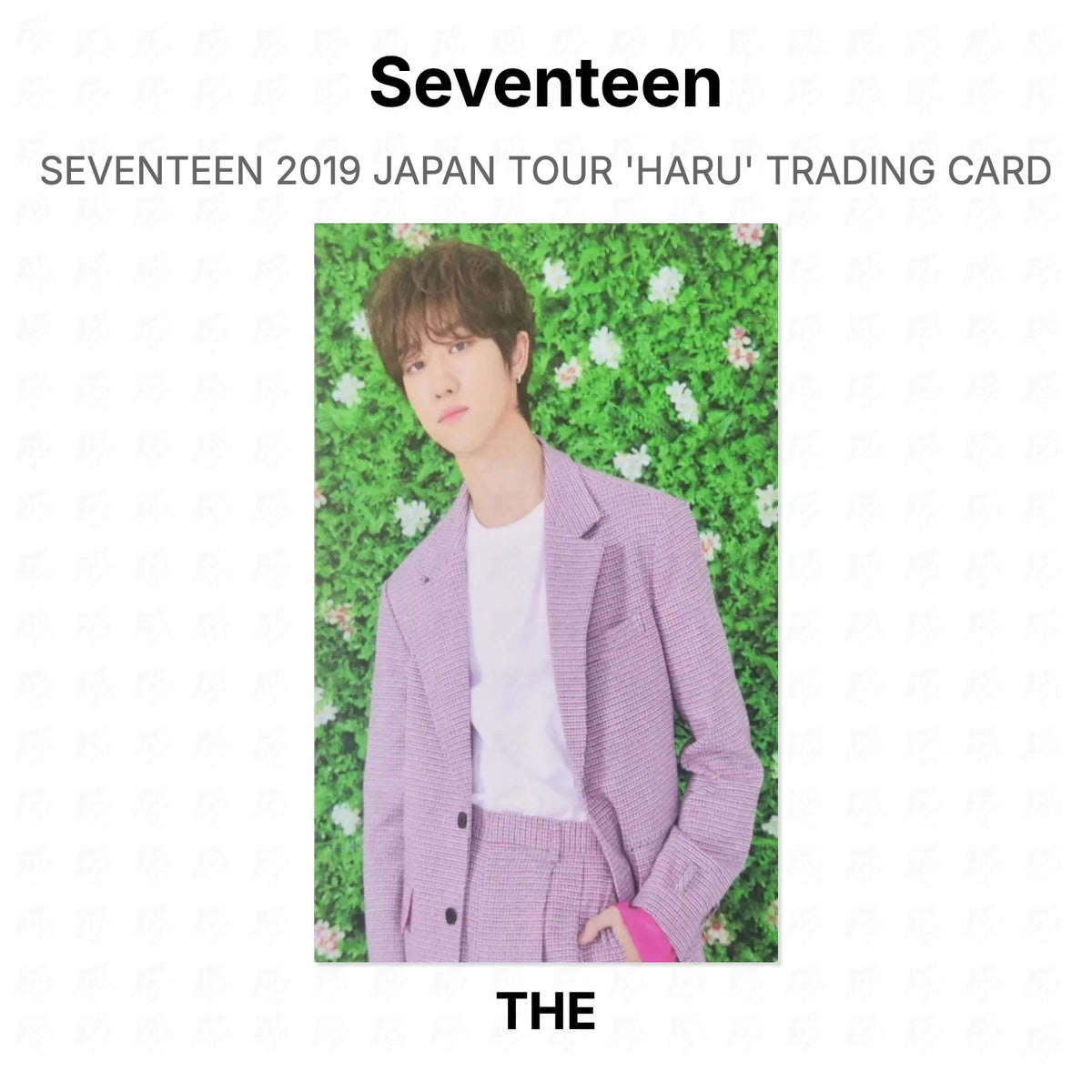Seventeen 2019 JAPAN TOUR 'HARU' TRADING CARD Official Photocard