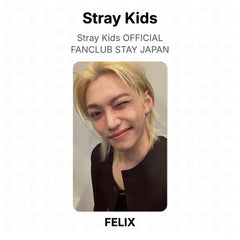 FELIX 02