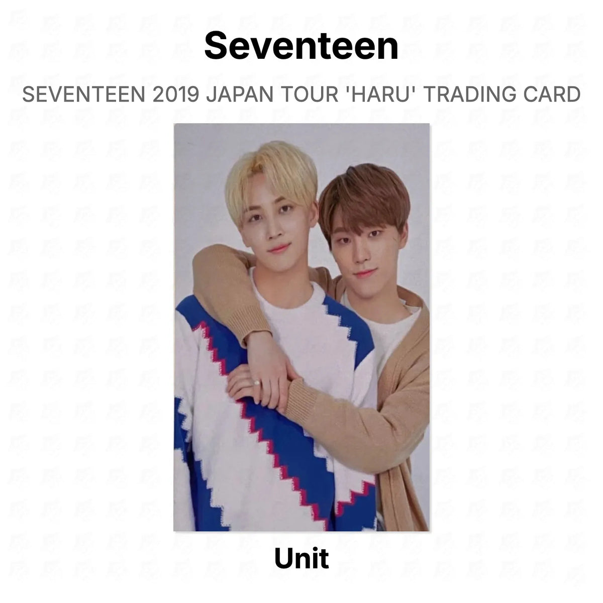 Seventeen 2019 JAPAN TOUR 'HARU' TRADING CARD Official Photocard
