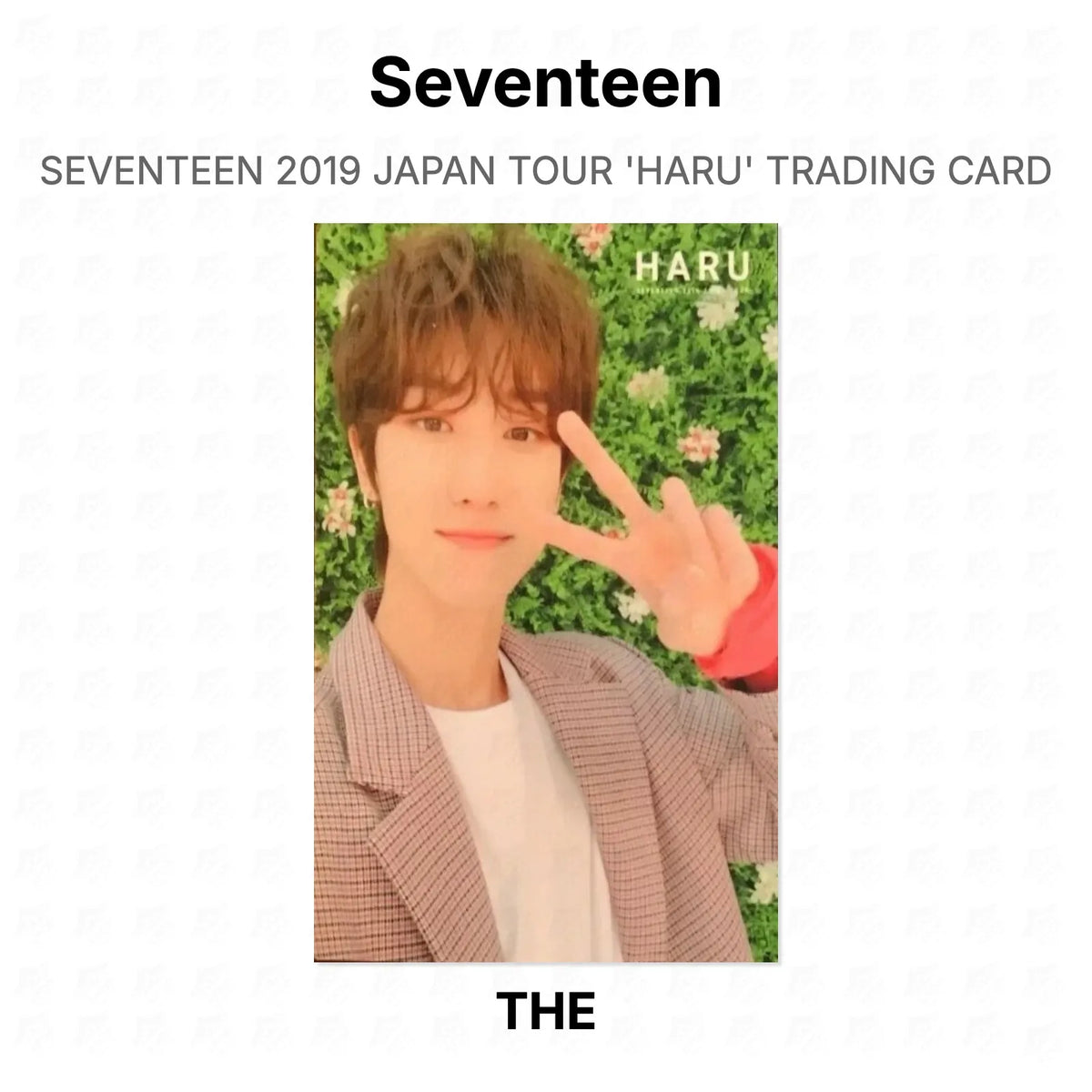Seventeen 2019 JAPAN TOUR 'HARU' TRADING CARD Official Photocard