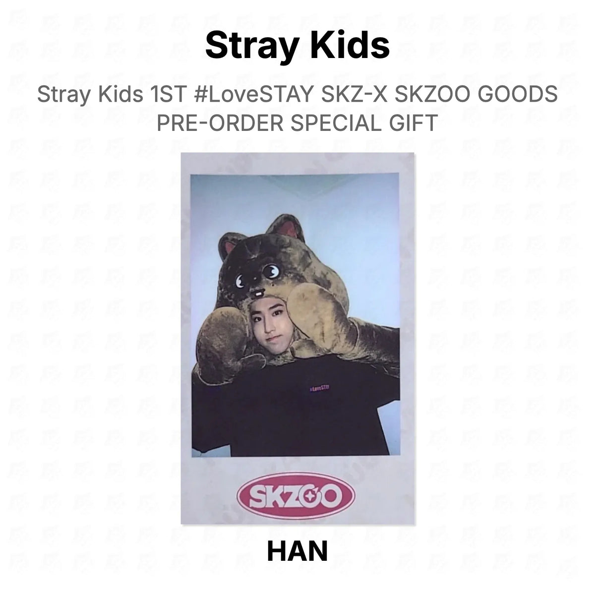Stray Kids 1ST #LoveSTAY SKZ-X SKZOO GOODS PRE-ORDER SPECIAL GIFT Official Photocard
