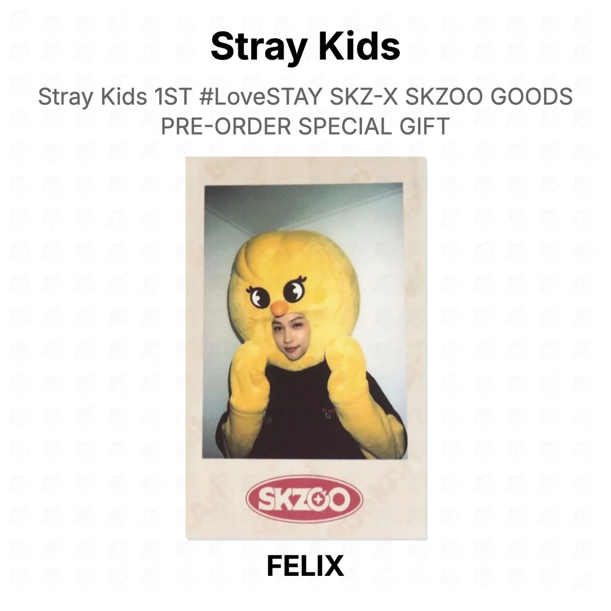 Stray Kids 1ST #LoveSTAY SKZ-X SKZOO GOODS PRE-ORDER SPECIAL GIFT Official Photocard