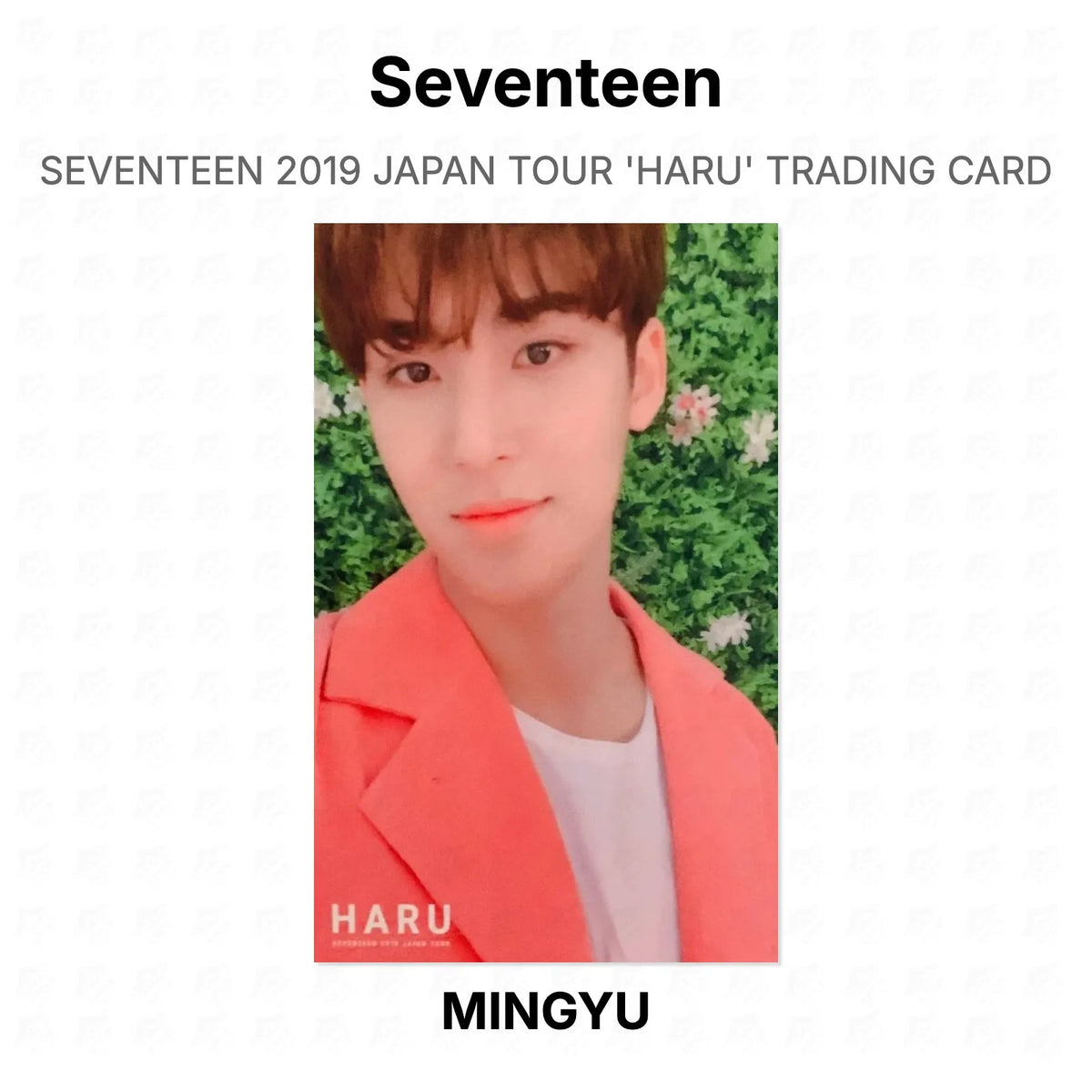 Seventeen 2019 JAPAN TOUR 'HARU' TRADING CARD Official Photocard