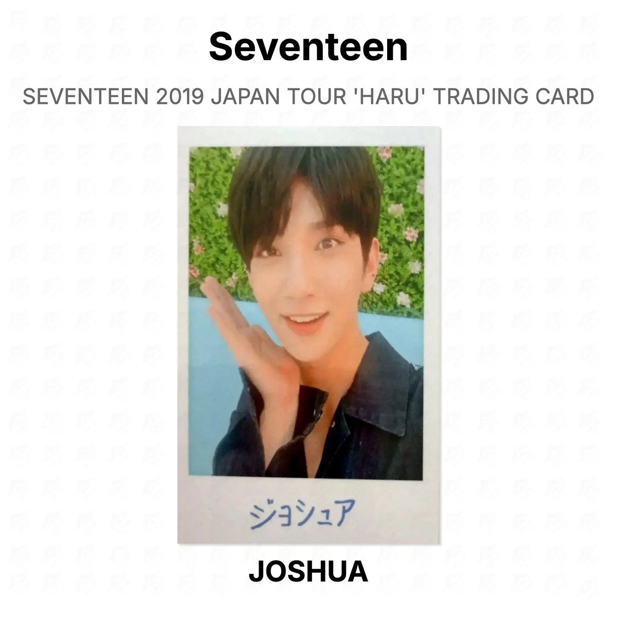 Seventeen 2019 JAPAN TOUR 'HARU' TRADING CARD Official Photocard
