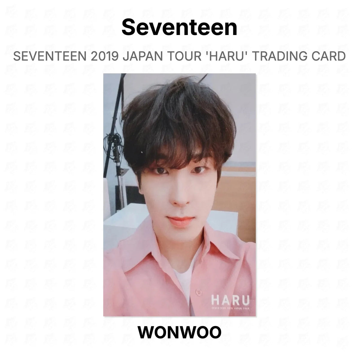 Seventeen 2019 JAPAN TOUR 'HARU' TRADING CARD Official Photocard