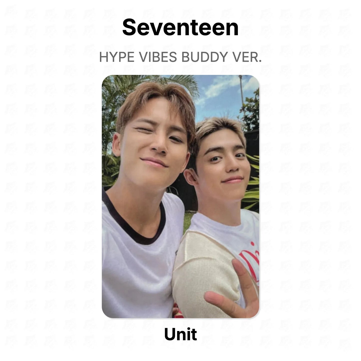 Seventeen HYPE VIBES BUDDY VER. Official Photocard
