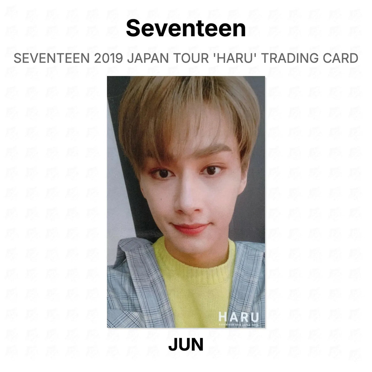 Seventeen 2019 JAPAN TOUR 'HARU' TRADING CARD Official Photocard