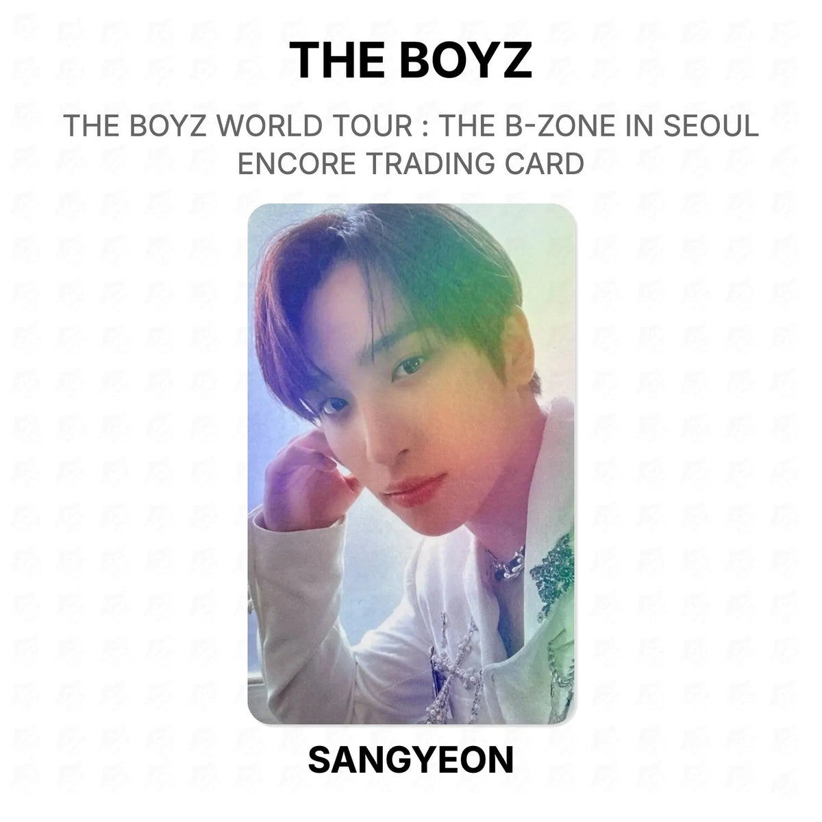 THE BOYZ WORLD TOUR : THE B-ZONE IN SEOUL ENCORE TRADING CARD Official Photocard
