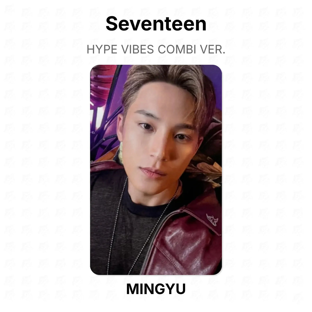 Seventeen HYPE VIBES COMBI VER. Official Photocard