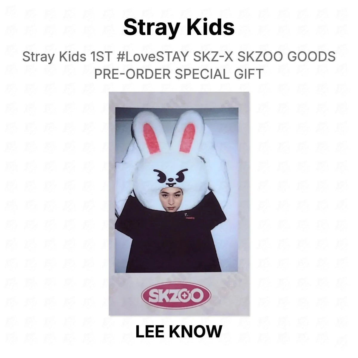 Stray Kids 1ST #LoveSTAY SKZ-X SKZOO GOODS PRE-ORDER SPECIAL GIFT Official Photocard