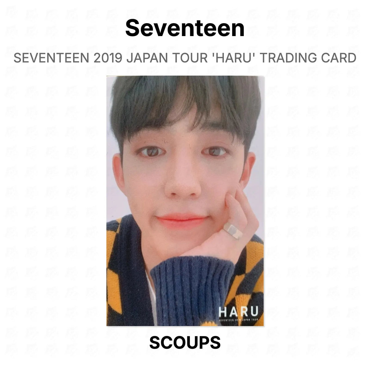 Seventeen 2019 JAPAN TOUR 'HARU' TRADING CARD Official Photocard