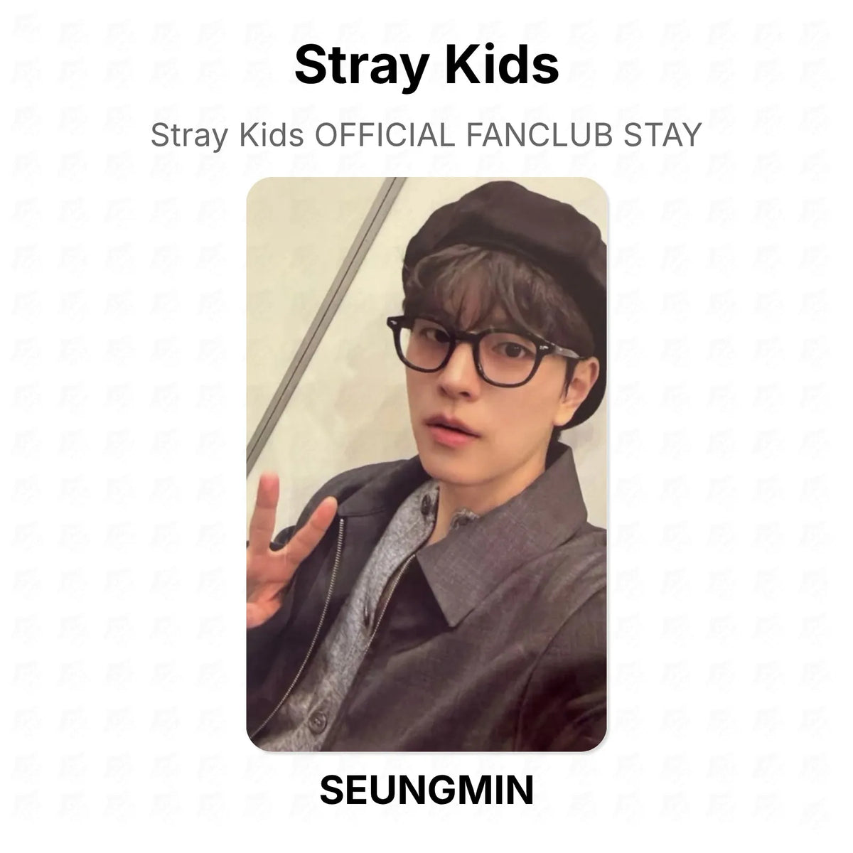 Stray Kids OFFICIAL FANCLUB STAY Official Photocard