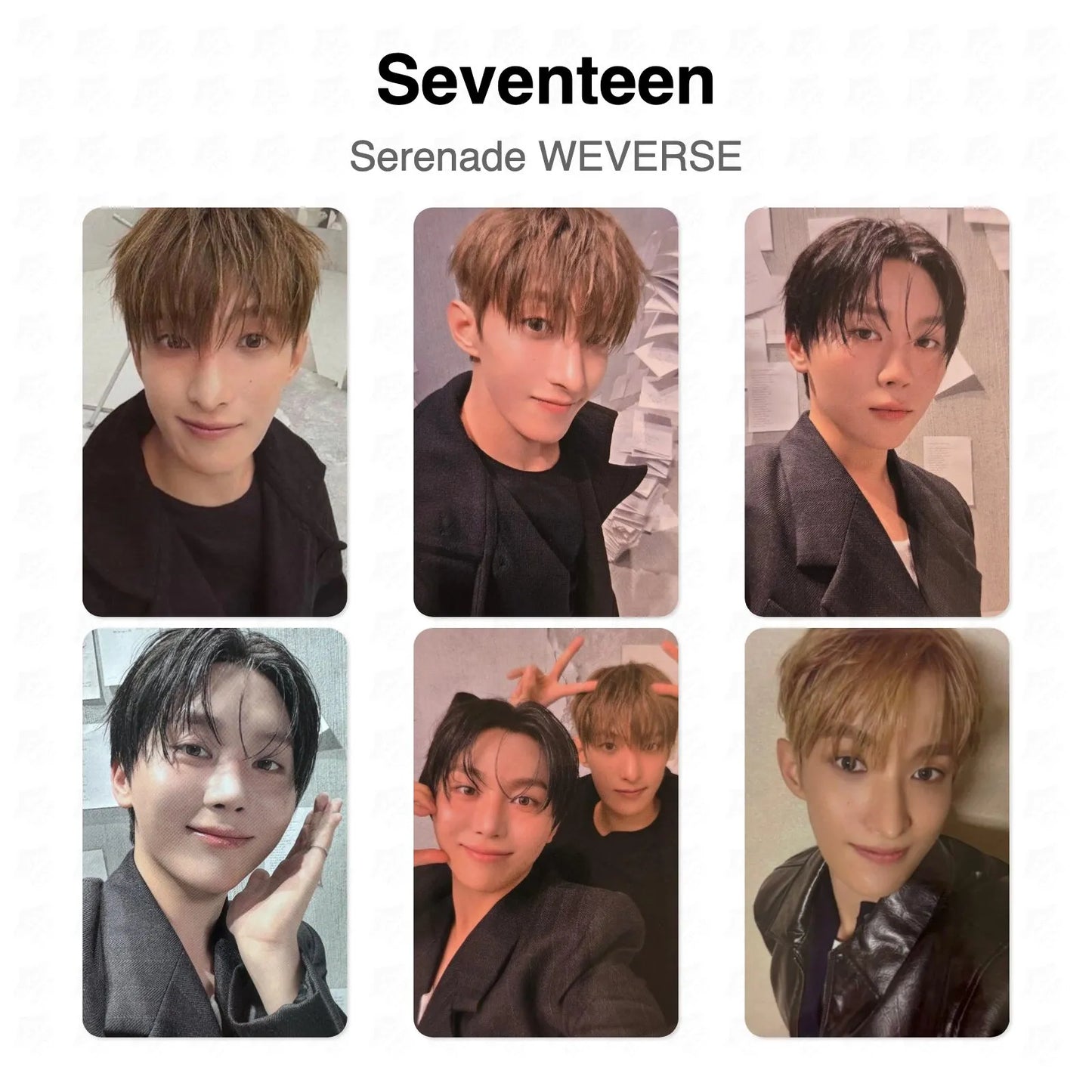Seventeen Serenade WEVERSE Official Photocard