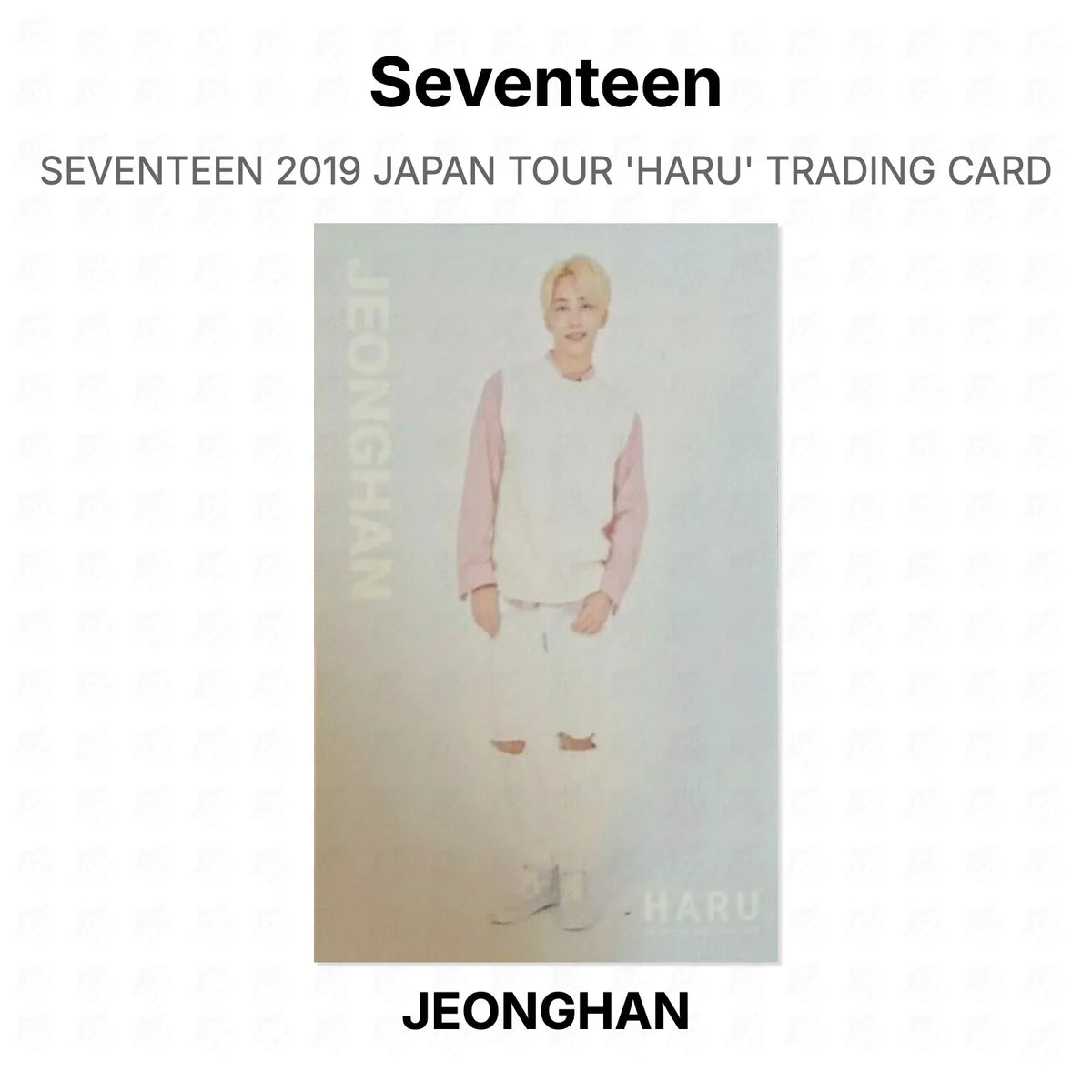 Seventeen 2019 JAPAN TOUR 'HARU' TRADING CARD Official Photocard