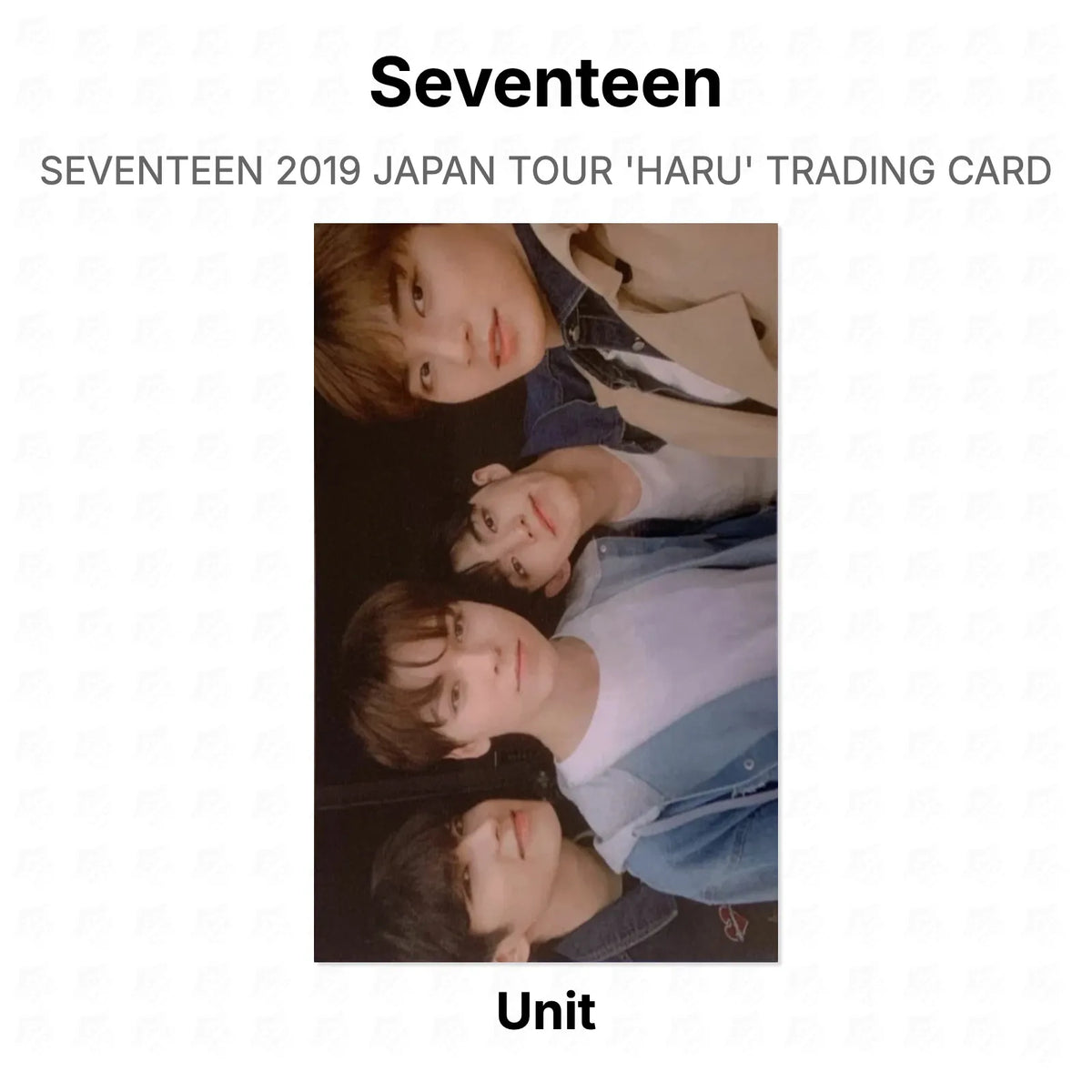 Seventeen 2019 JAPAN TOUR 'HARU' TRADING CARD Official Photocard