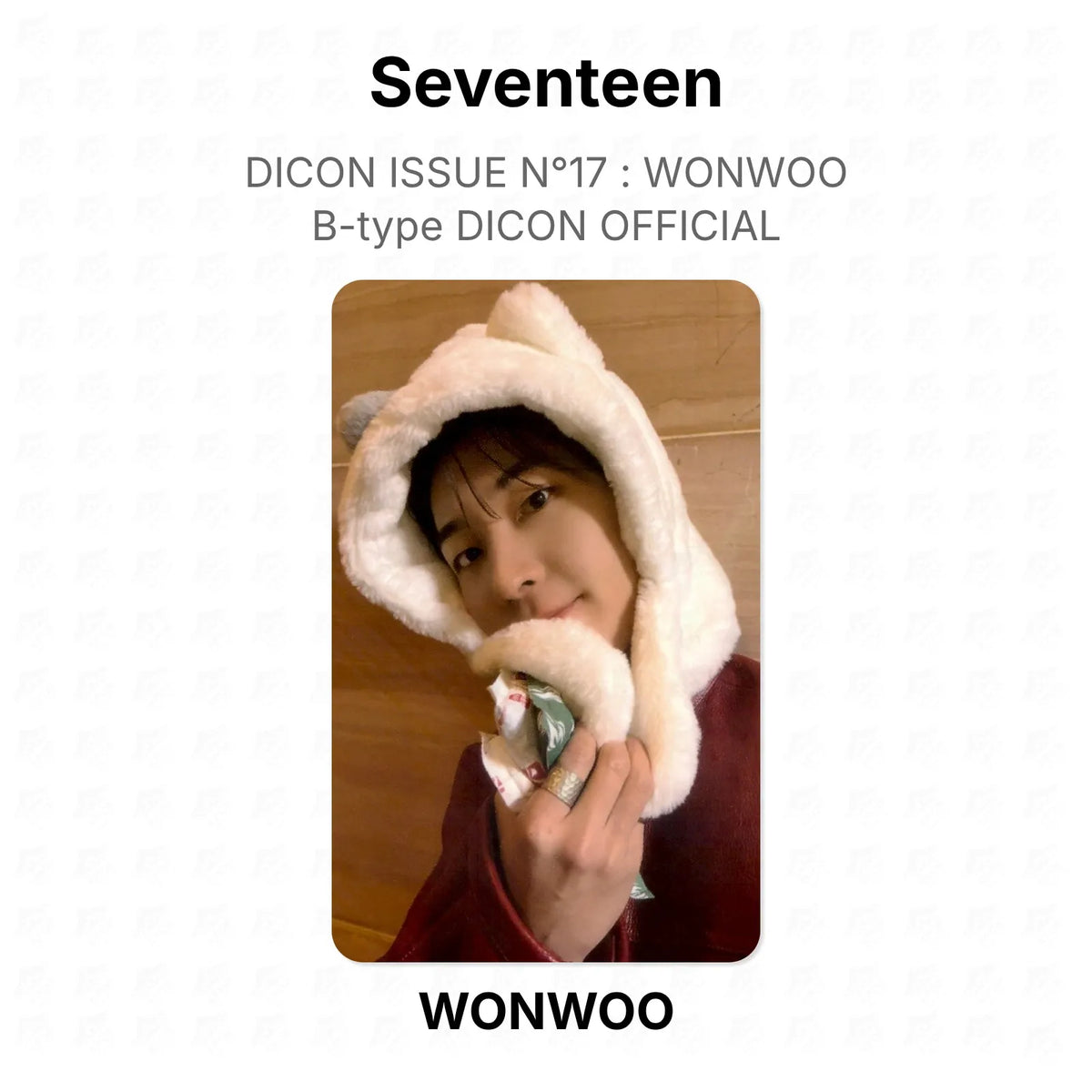 Seventeen DICON ISSUE N°17 : WONWOO B-type DICON OFFICIAL Official Photocard