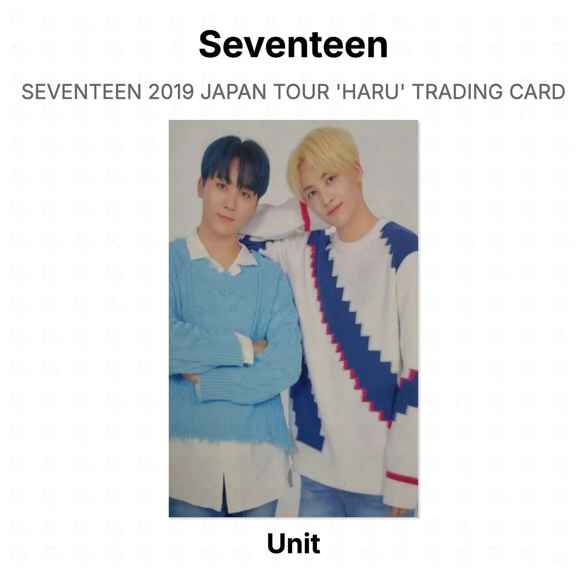Seventeen 2019 JAPAN TOUR 'HARU' TRADING CARD Official Photocard