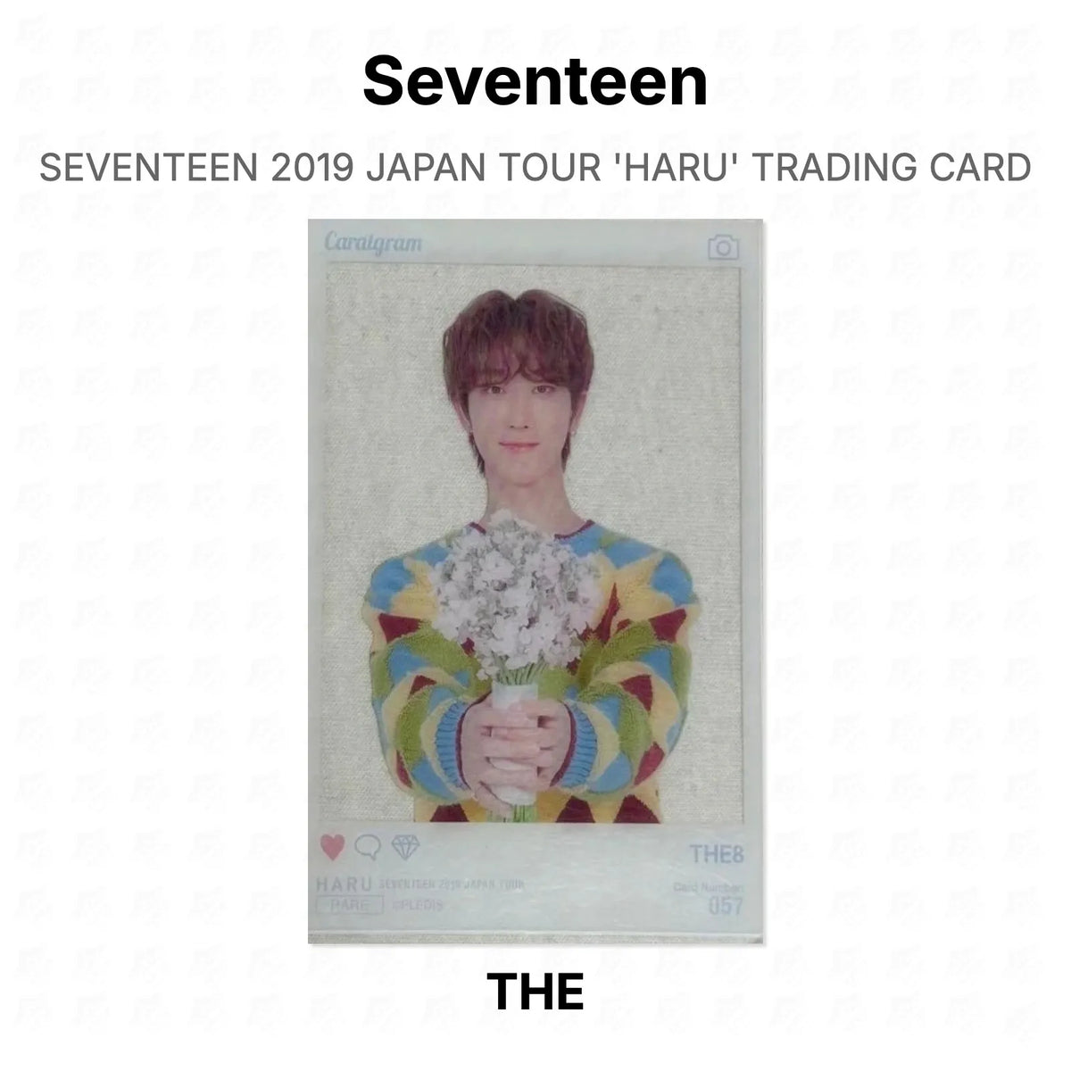 Seventeen 2019 JAPAN TOUR 'HARU' TRADING CARD Official Photocard