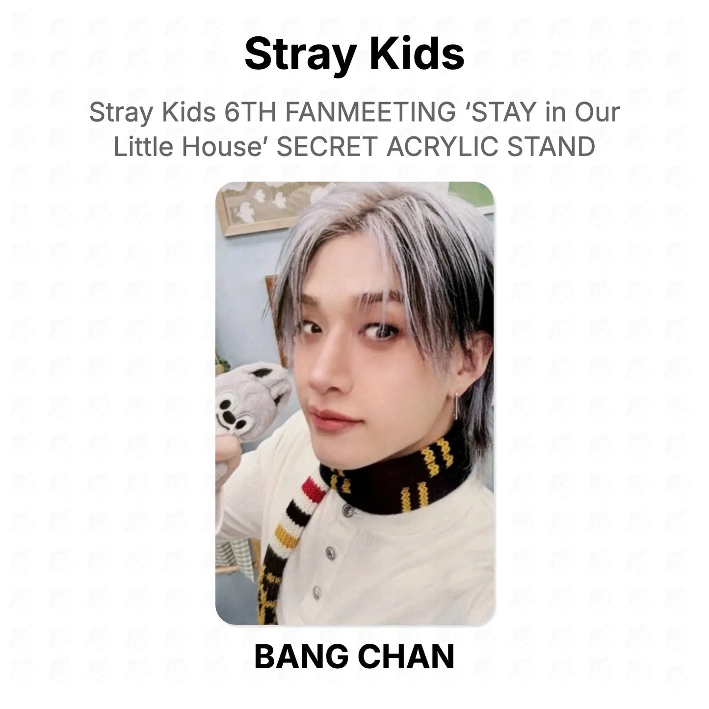 Stray Kids 6TH FANMEETING ‘STAY in Our Little House’ SECRET ACRYLIC STAND Official Photocard